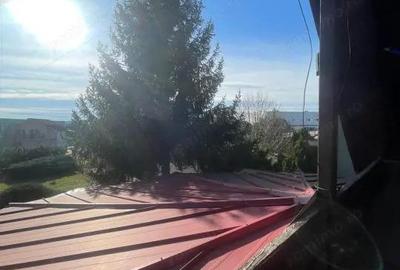 Casă cu Teren 2544 Mp în Cicârlău - 12