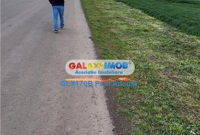 Teren Autostrada A3 Moara Vlasiei 26000 mp  Industrial Depozitare - 3