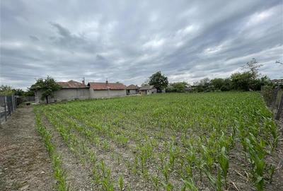 ?nzare Casa batraneasca 1700mp teren La 50km de Bucuresti Cosereni Ialomita - 6