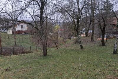 Casă cu 3 camere în Râu Alb de Jos - 2