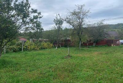 Casă cu 4 camere în Stâlpeni