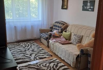 Apartament doua camere- Zona Euromaterna - 2
