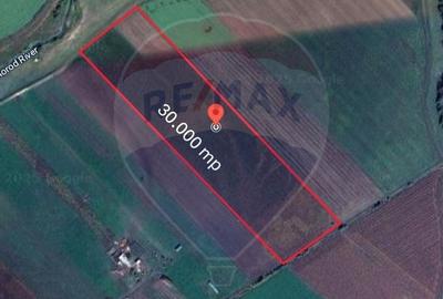 Teren de vanzare / extravilan 30.000mp/ Halchiu - 4