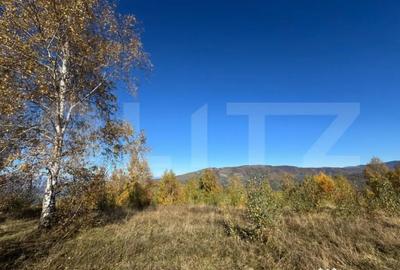 Teren de 17183 mp, în Central - 2