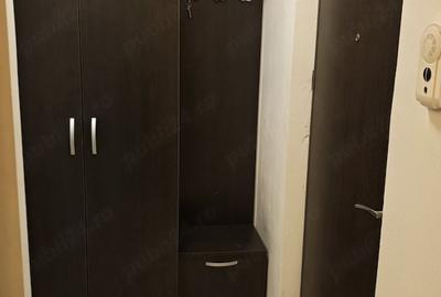 Garsonieră semidecomandată, mobilată în Tineretului - 7