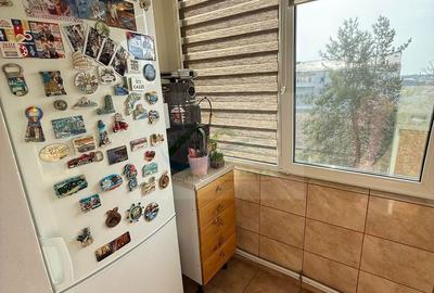Apartament cu 3 camere decomandat în Burdujeni - 8