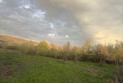 Spațiu comercial, în Predeal - 8