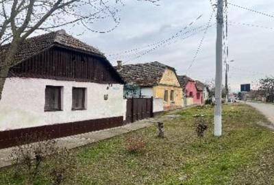 Cota de 1/2 din casa si teren, Loc Periam, Jud Timis - 4