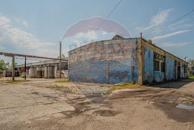 Spațiu industrial, de 12,000 mp, în Periferie - 6
