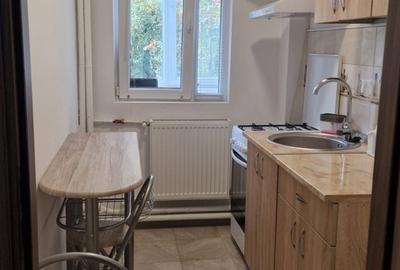 Stefan Cel Mare - Parcul Circului- Ghiocei Stefan Cel Mare - Parcul Circului- Ghiocei - 2