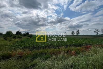 Teren intravilan, 8333 mp, la E85, comuna Secuienii Noi, jud - 15