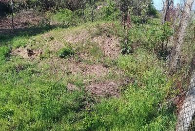 Teren Construcții intravilan de 6820 mp, în Dealuri Oradea - 4