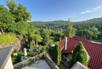 Vila deosebita, 2 corpuri P+M si P+1E, Margineni-Bacau - 8