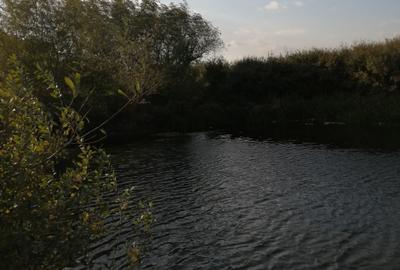 Teren agricol extravilan de 10000 mp, în Sânandrei - 2