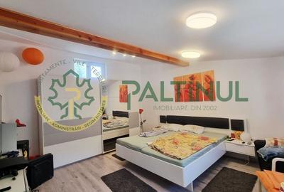 Casă spațioasă în Turnișor - teren 584 mp, apartament secundar, terasă - 13