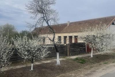 Casă cu 4 camere în Central - 2