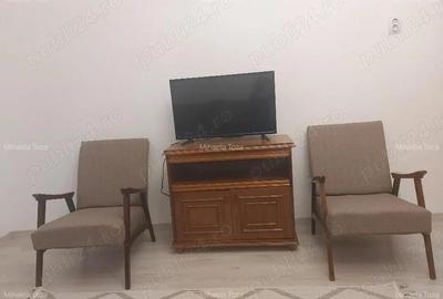 Garsoniera doamna ghica-modern - 2