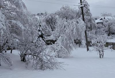 Casă cu 3 camere cu Teren 1400 Mp în Central - 11