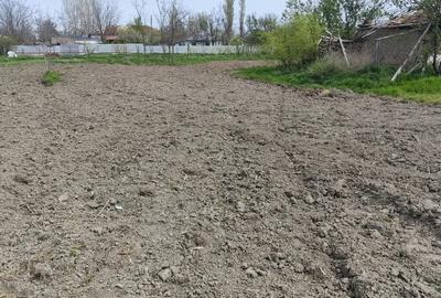 10000 Negociabil - 2