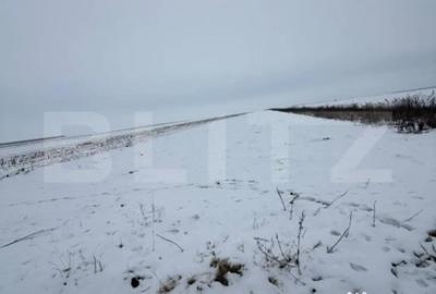 Teren de 9000 mp, în Central