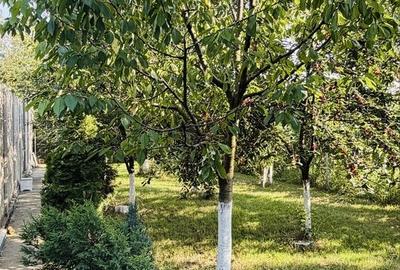 Casă cu 4 camere cu Teren 425 Mp în Bogdăneștilor - 7