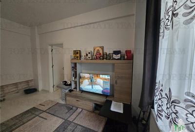 Apartament cu 2 camere semidecomandat în Roșu - 3