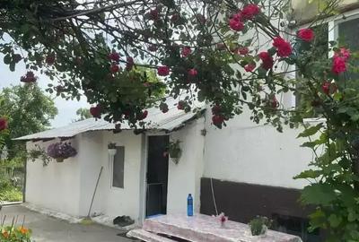 Casă cu 3 camere în Mihăești - 18
