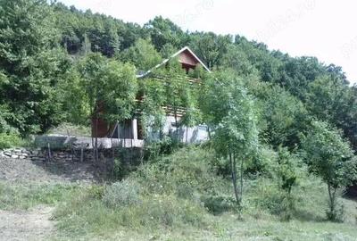 Casă cu 4 camere cu Teren 1500 Mp în Lepșa - 10