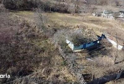 Casă cu 2 camere cu Teren 2602 Mp în Dumești - 9