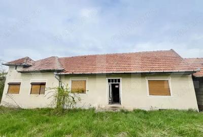 Casa de Vanzare, 4139 mp, Hapria, Ciugud Ideala ca Locuin?a sau Proiect Rural - 8