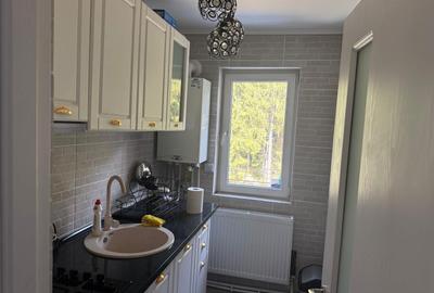 Apartament cu 2 camere decomandat în Silva - 2