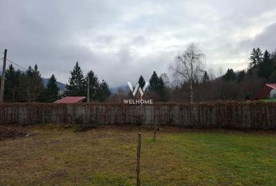 Teren deosebit pozitionat, cu livada, langa padure,  pe Valea Avrigului - 9