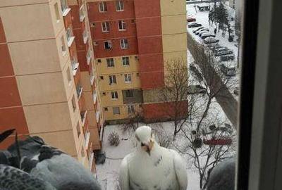 Apartament cu 4 camere în Central - 1