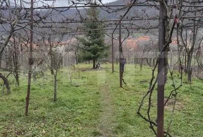 ROPRIETATE EXCLUSIVA DE VANZARE ZONA CENTRALA CUGIR - 3