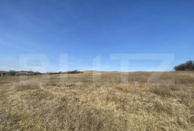 Teren de 140551 mp, în Recea - 9