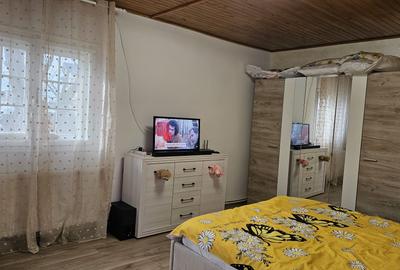 Casă individuală cu 4 camere cu Teren 1011 Mp în Vânători - 7