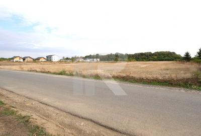 LOTURI PENTRU CASA - 420mp + 89mp drum - Otopeni, Ilfov - IN CURS DE AUTORIZARE - 3