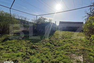 Casă cu 4 camere cu Teren 15000 Mp în Bichiș - 1