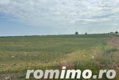 Cota 1/4 teren extravilan Gheraseni, jud. Buzau - R2070447 - 2