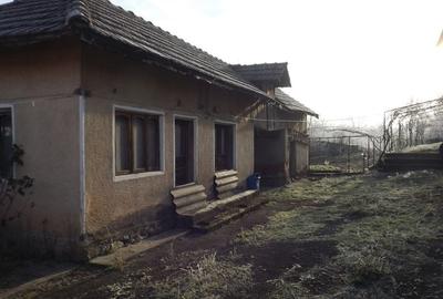 Casă cu 8 camere cu Canalizare în Pocruia - 4