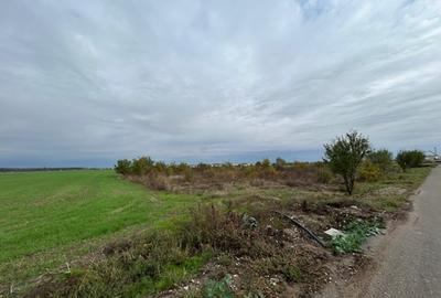 Darvari Ciorogarla Str Tineretului 2 loturi 500 mp zona in dezvoltare - 8