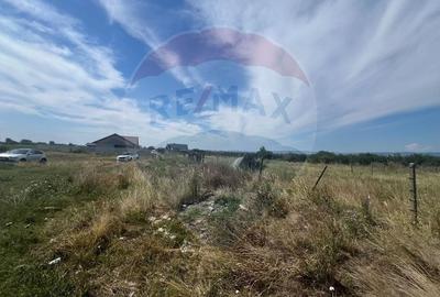 Teren Construcții intravilan de 923 mp, în Golești - 3