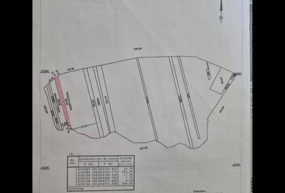 Teren de 5000 mp, în Râmnicu Sărat - 4