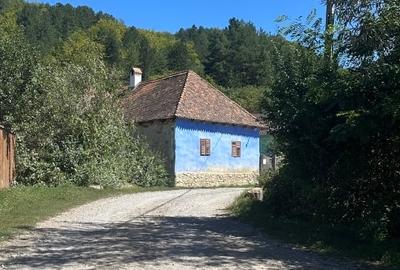 Casă tradițională în Valea Zălanului – acoperiș refacut teren 1.690 m² Casă tradițională în Valea Zălanului – acoperiș refacut teren 1.690 m² - 4