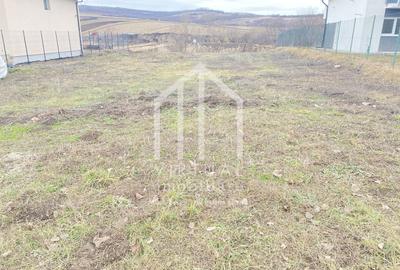 Teren Construcții intravilan de 750 mp, în Hamba - 4