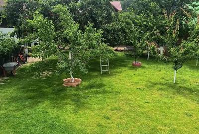 Casa+teren 1.100mp in Ra?nov - 8