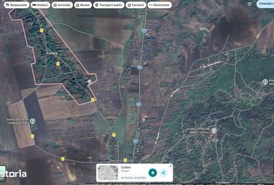 Spațiu comercial, în Ciofeni - 9