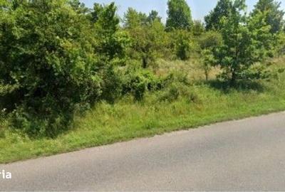 Spațiu comercial, în Butuci - 6