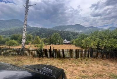 Inchiriez teren in Harja, pe termen lung. - 2