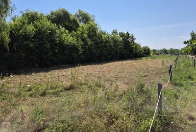 Priveliste spre lac! - 5